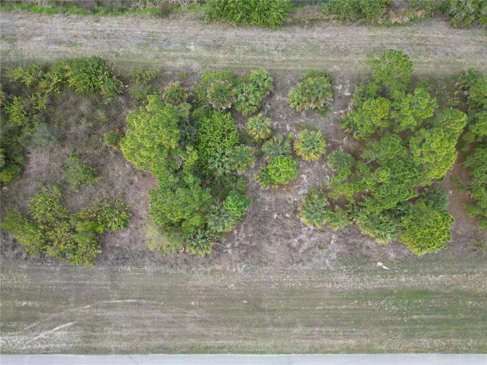 En Venta: $15,000 (0.26 acres)