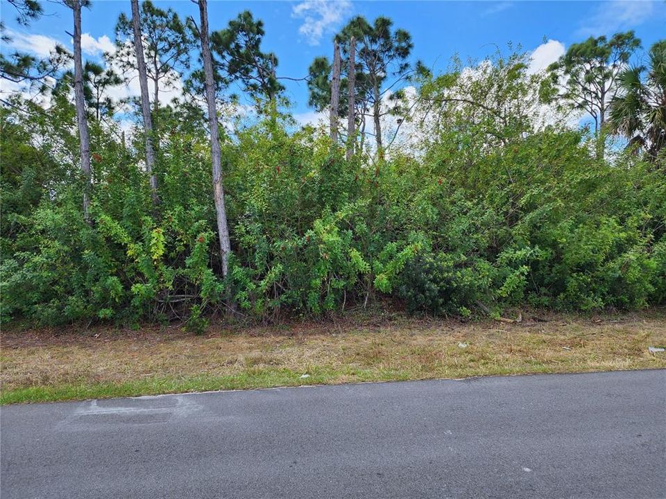 На продажу: $24,900 (0.23 acres)