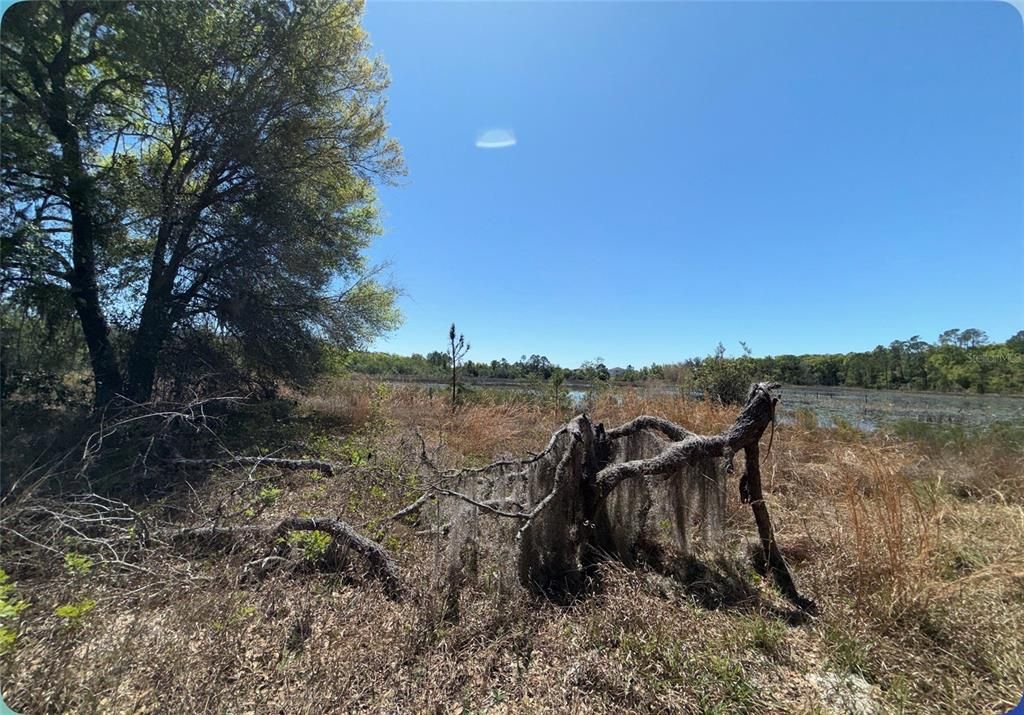 Active With Contract: $285,000 (7.15 acres)