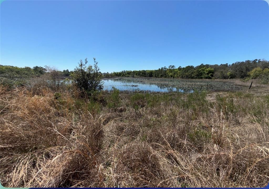 Active With Contract: $285,000 (7.15 acres)