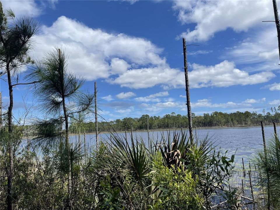 待售: $120,000 (1.00 acres)