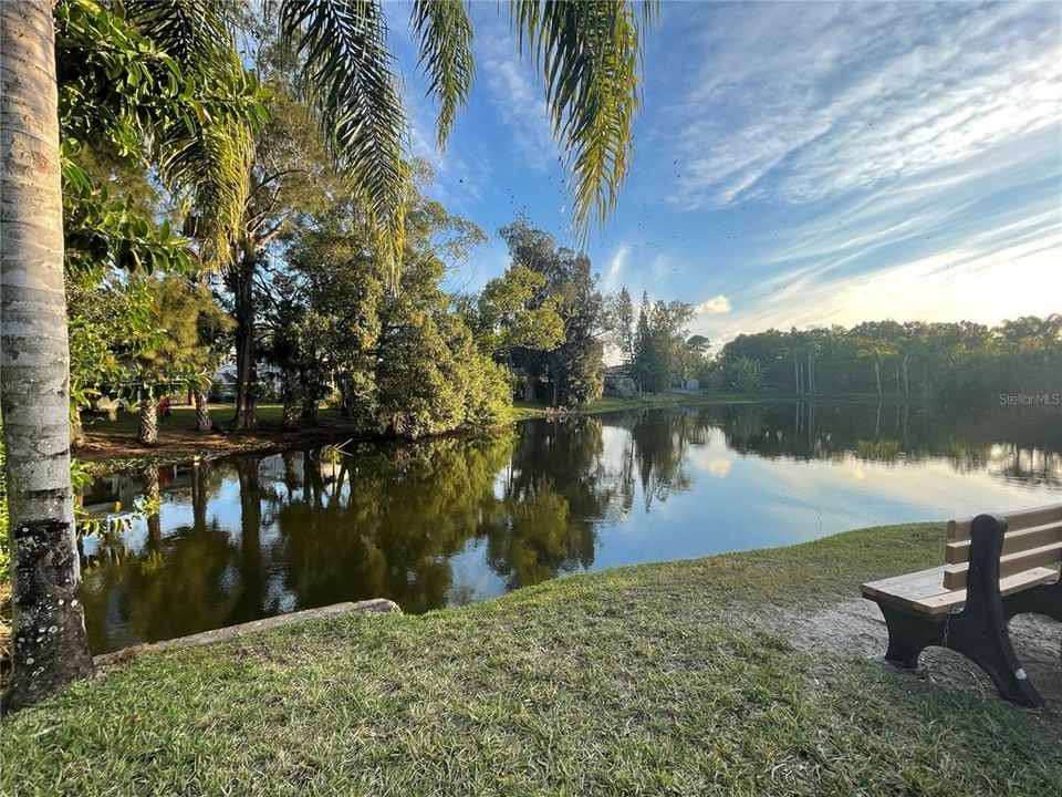 Activo con contrato: $99,900 (1 camas, 1 baños, 590 Pies cuadrados)
