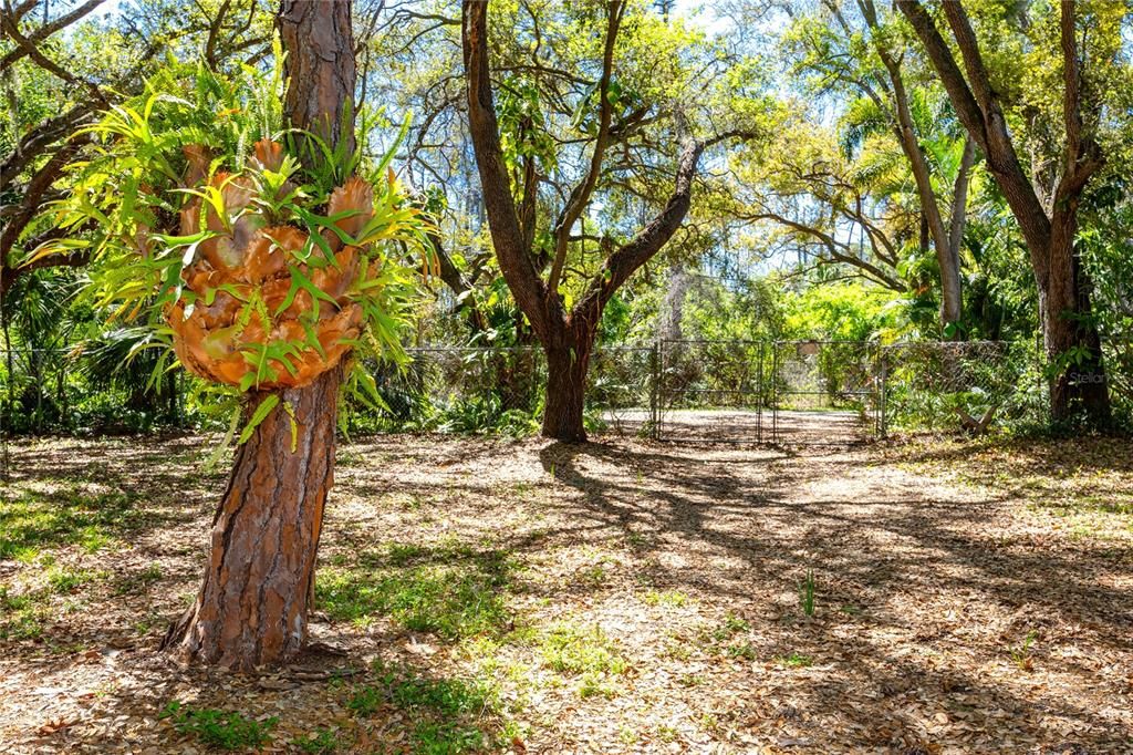 待售: $311,000 (0.40 acres)