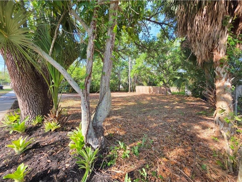 For Sale: $99,000 (0.07 acres)
