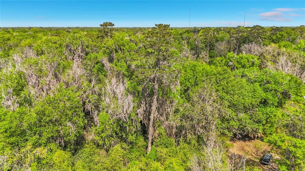 На продажу: $177,500 (0.89 acres)