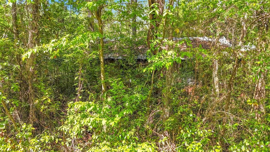 En Venta: $198,500 (1.01 acres)