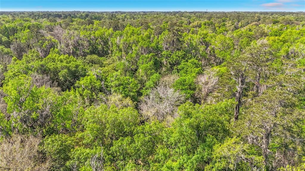 En Venta: $198,500 (1.01 acres)