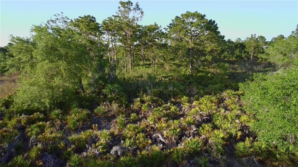 На продажу: $239,990 (1.74 acres)