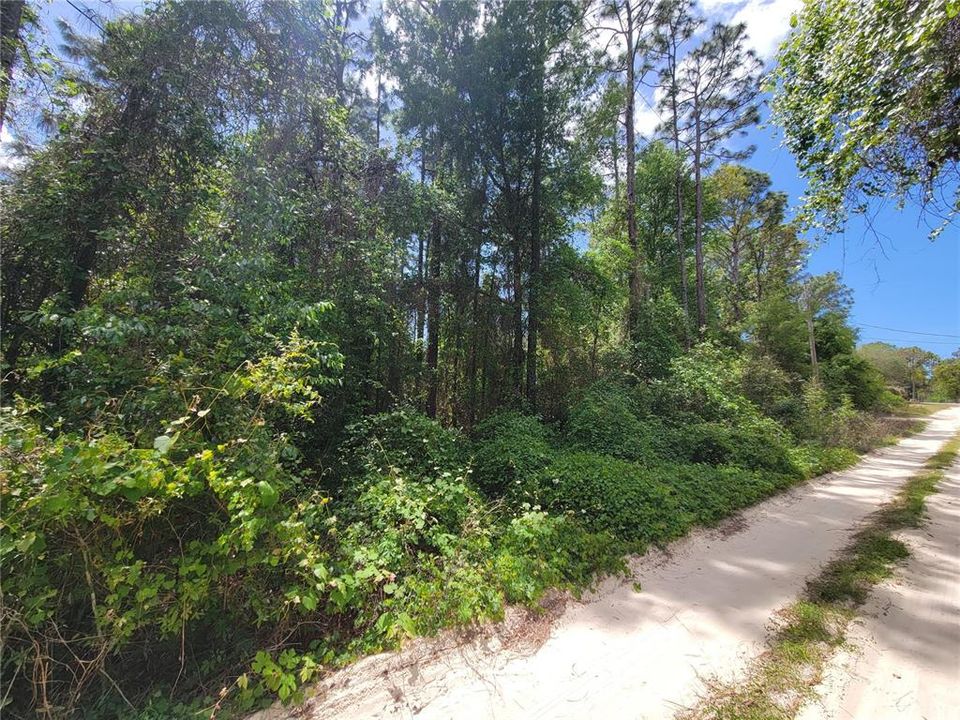 En Venta: $25,000 (0.50 acres)