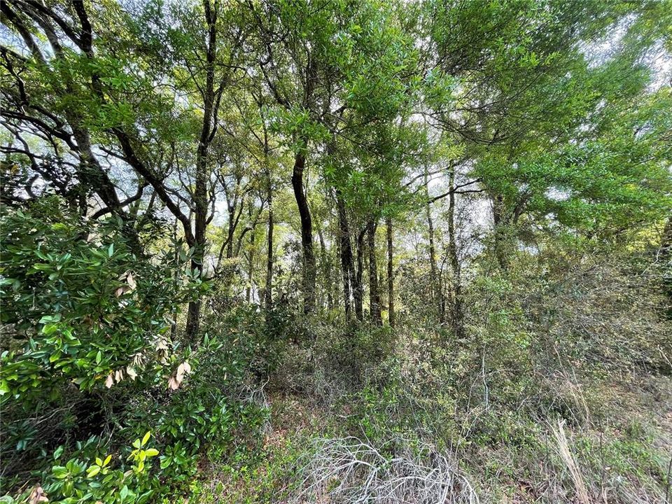 合同活跃: $160,000 (10.00 acres)
