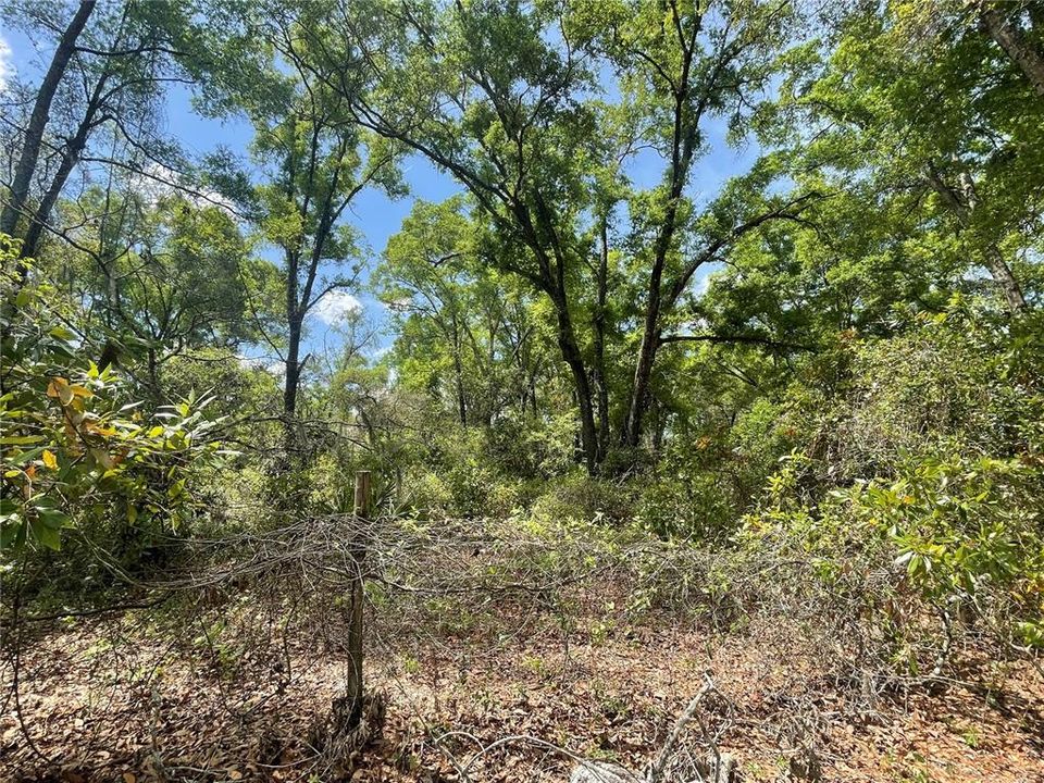 合同活跃: $160,000 (10.00 acres)