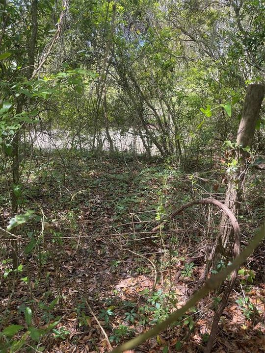 合同活跃: $160,000 (10.00 acres)