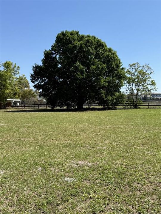 For Sale: $998,000 (1.07 acres)