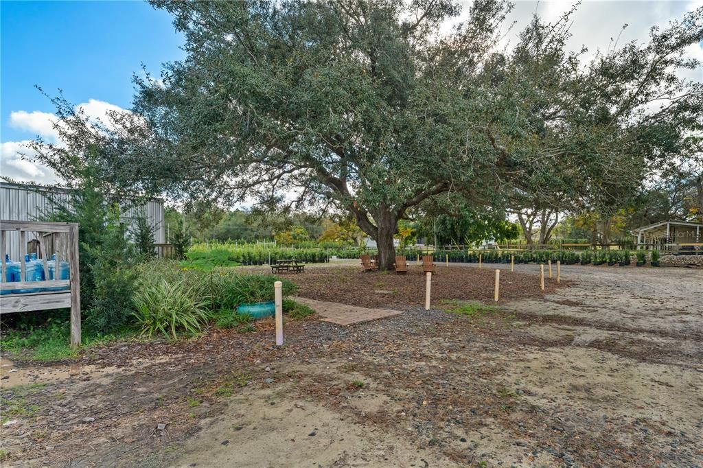 En Venta: $2,900,000 (4 camas, 2 baños, 1804 Pies cuadrados)