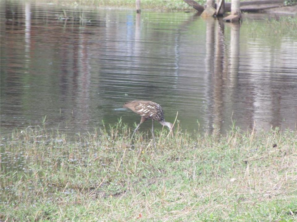 На продажу: $124,900 (2 спален, 2 ванн, 805 Квадратных фут)