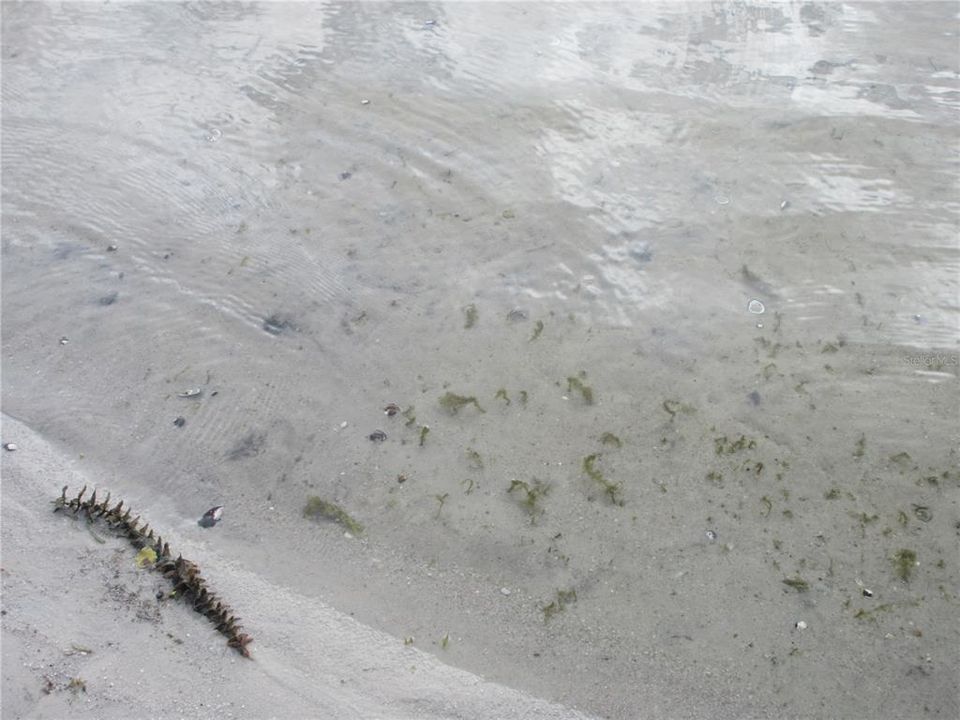 На продажу: $124,900 (2 спален, 2 ванн, 805 Квадратных фут)