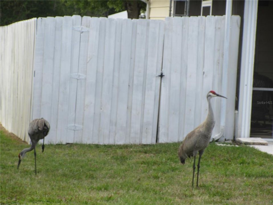 На продажу: $124,900 (2 спален, 2 ванн, 805 Квадратных фут)