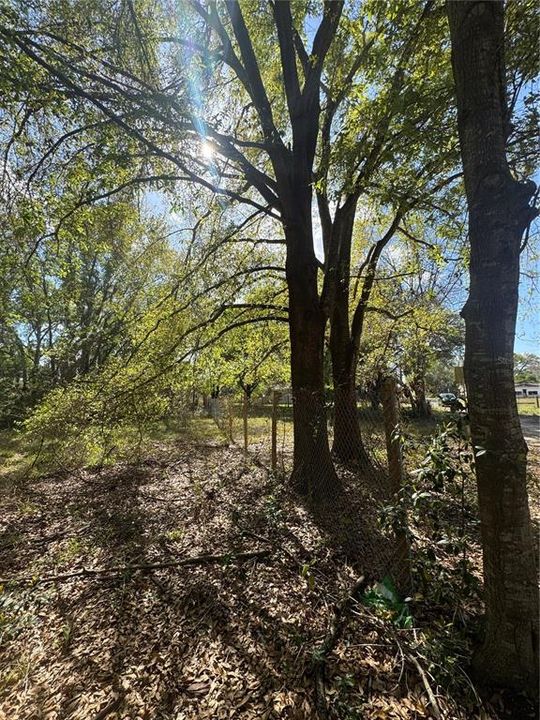 待售: $50,000 (0.14 acres)