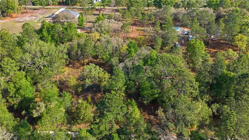 На продажу: $61,000 (1.16 acres)