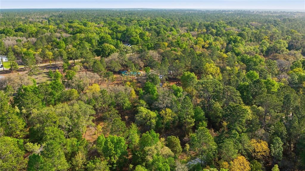 На продажу: $61,000 (1.16 acres)