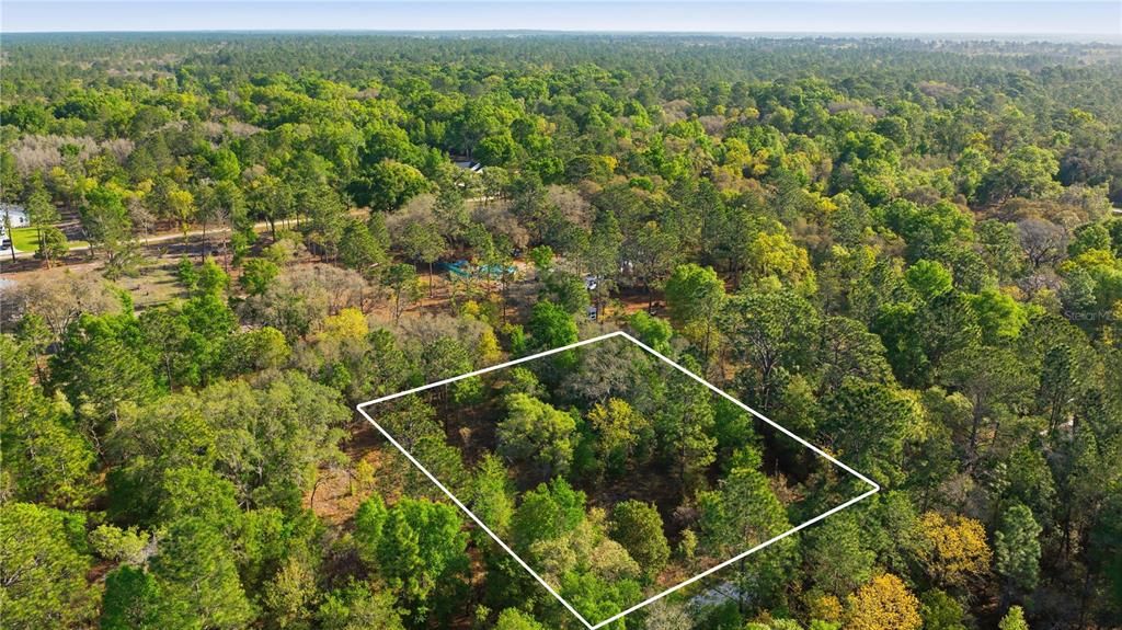 На продажу: $61,000 (1.16 acres)