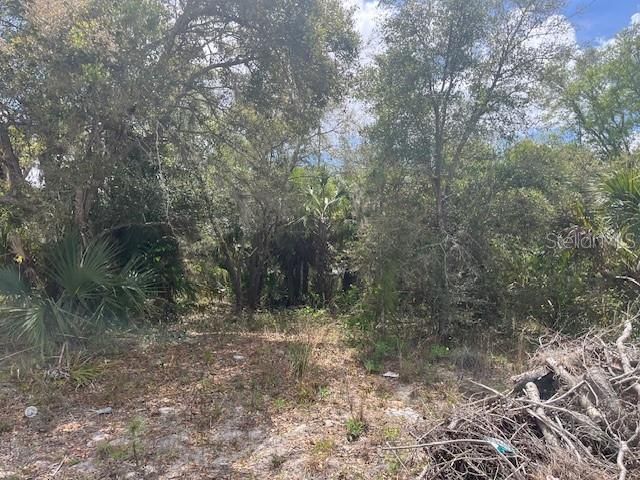 待售: $29,900 (0.23 acres)