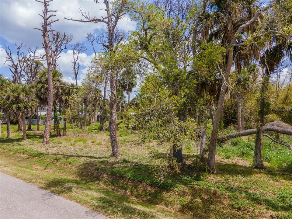 На продажу: $325,000 (1.31 acres)