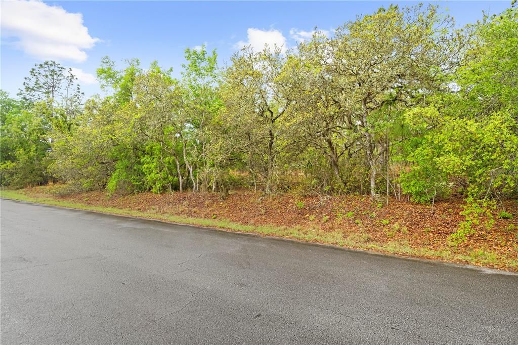 Active With Contract: $49,900 (1.91 acres)