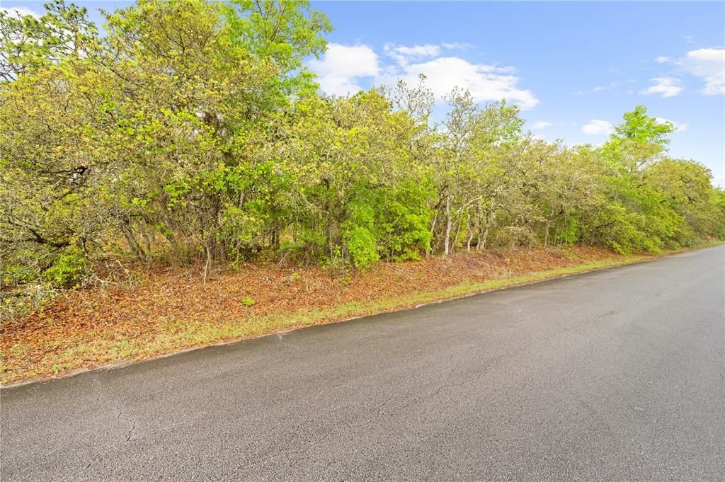 Active With Contract: $49,900 (1.91 acres)
