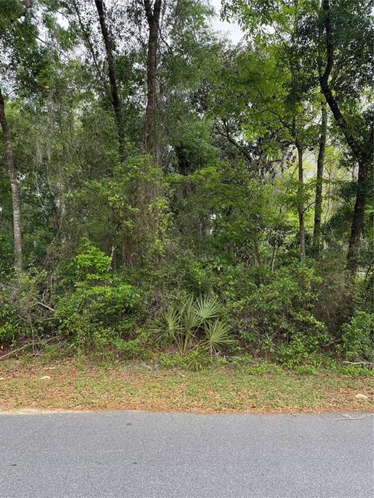 For Sale: $34,999 (0.23 acres)