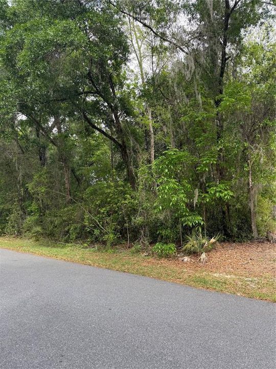 For Sale: $34,999 (0.23 acres)