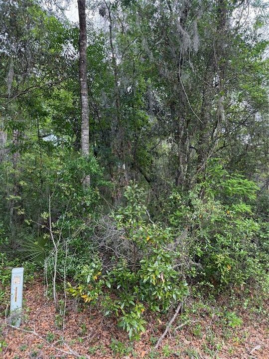 For Sale: $34,999 (0.23 acres)