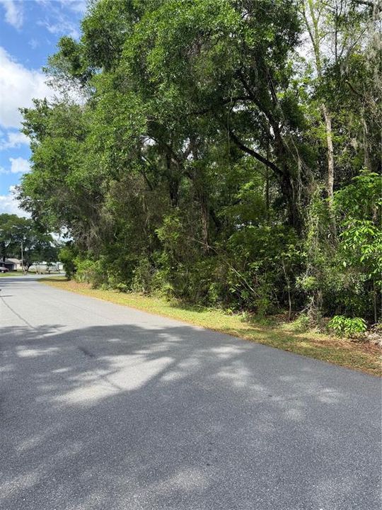 For Sale: $34,999 (0.23 acres)