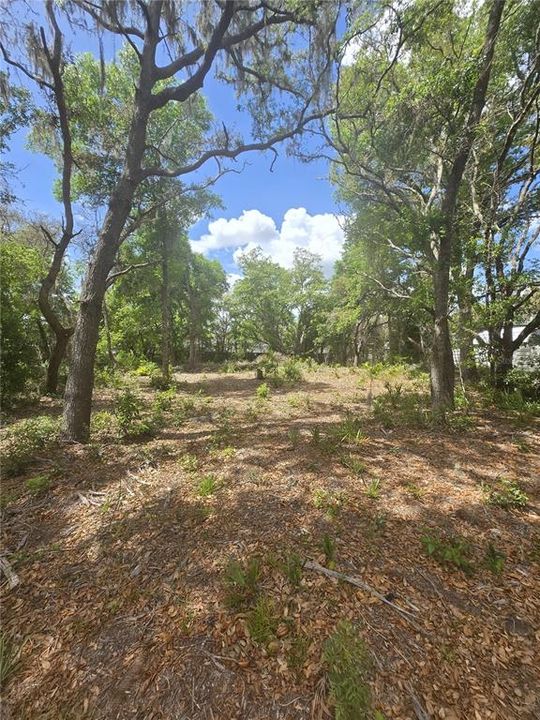 For Sale: $99,000 (0.51 acres)