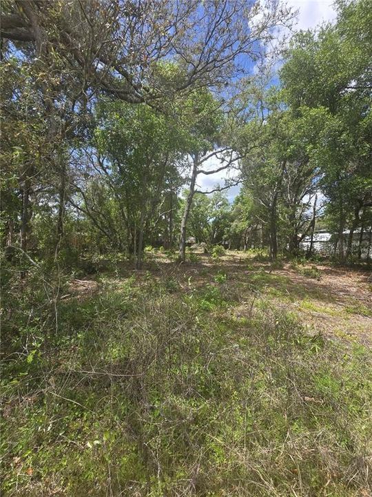 На продажу: $125,000 (0.51 acres)