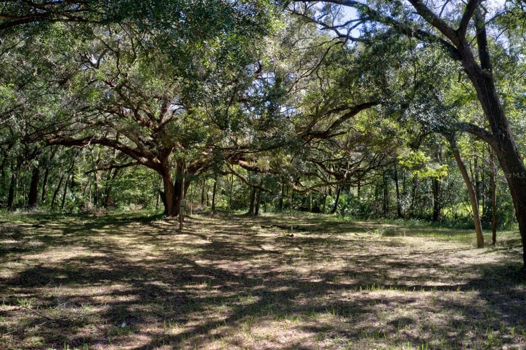 For Sale: $99,000 (4.00 acres)