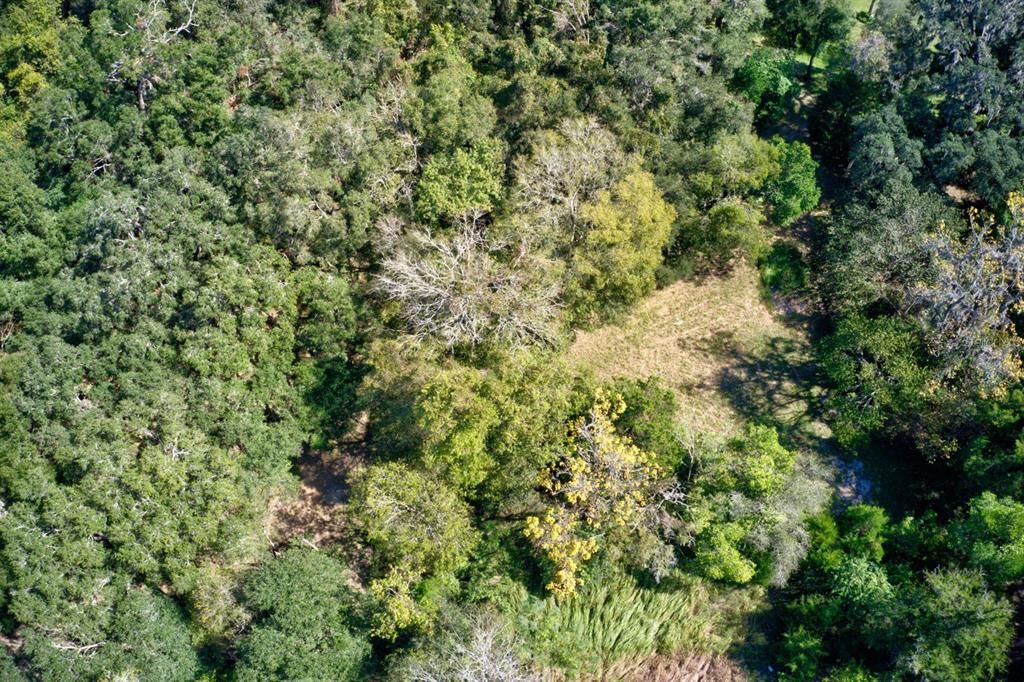 For Sale: $99,000 (4.00 acres)