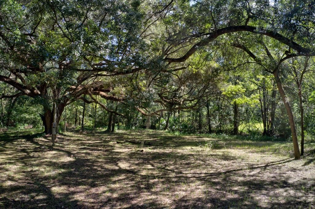 For Sale: $99,000 (4.00 acres)