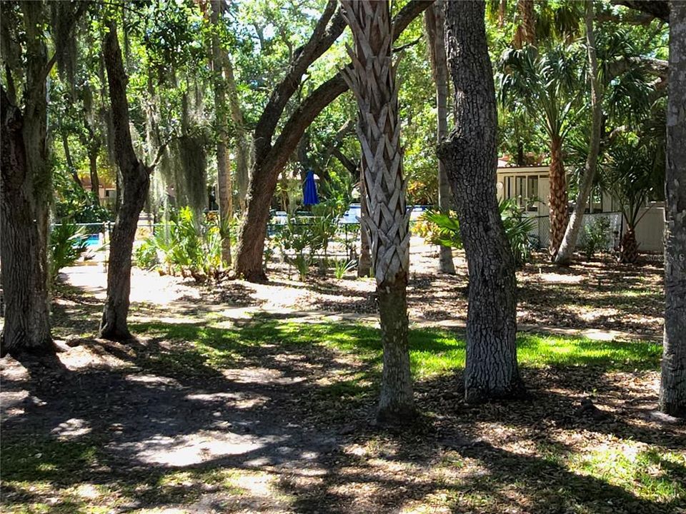 En Venta: $359,999 (3 camas, 2 baños, 2050 Pies cuadrados)