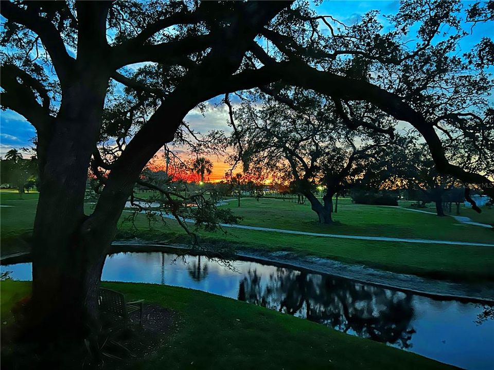 For Sale: $350,000 (2 beds, 2 baths, 1010 Square Feet)