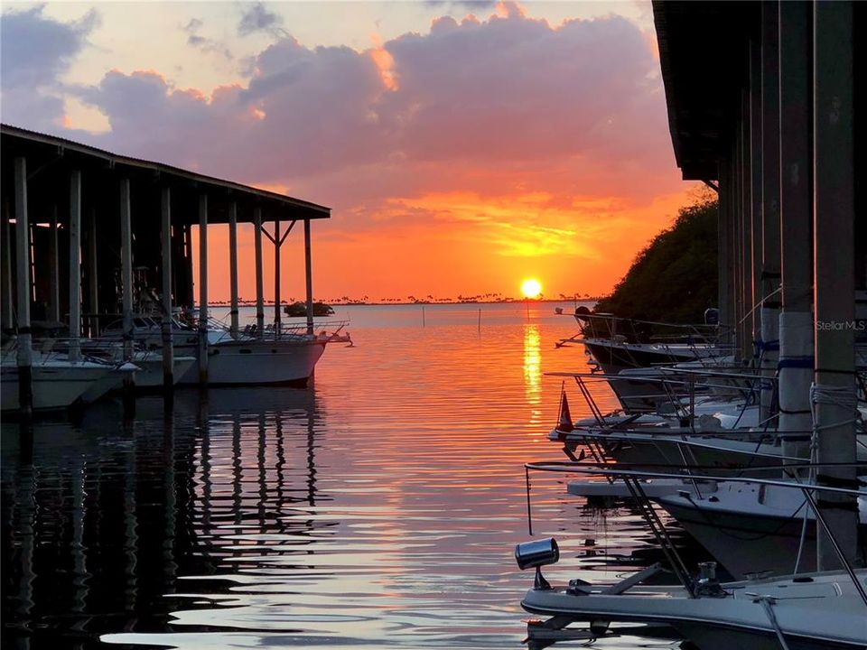 Под контрактом: $229,900 (2 спален, 2 ванн, 1050 Квадратных фут)