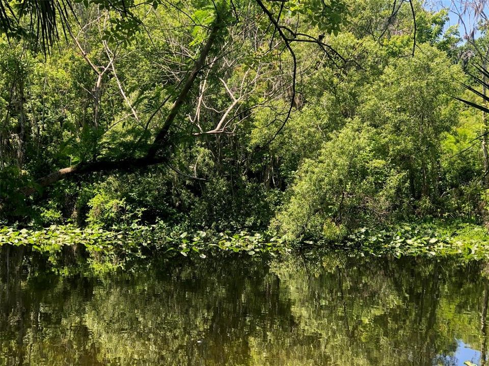 En Venta: $600,000 (0.97 acres)