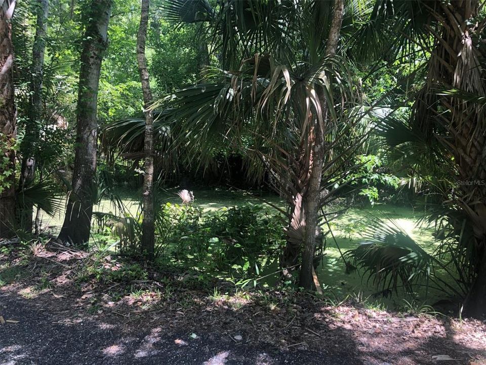 En Venta: $600,000 (0.97 acres)