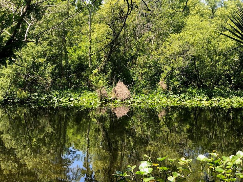 En Venta: $600,000 (0.97 acres)