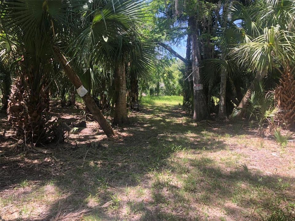 En Venta: $600,000 (0.97 acres)