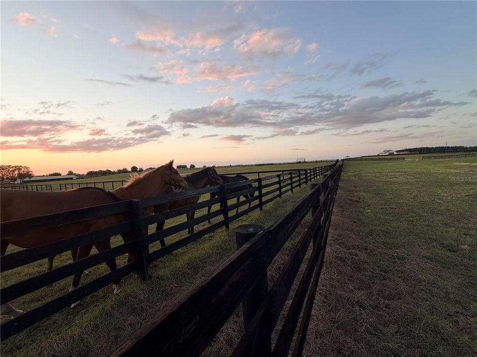 На продажу: $635,000 (2 спален, 1 ванн, 1106 Квадратных фут)