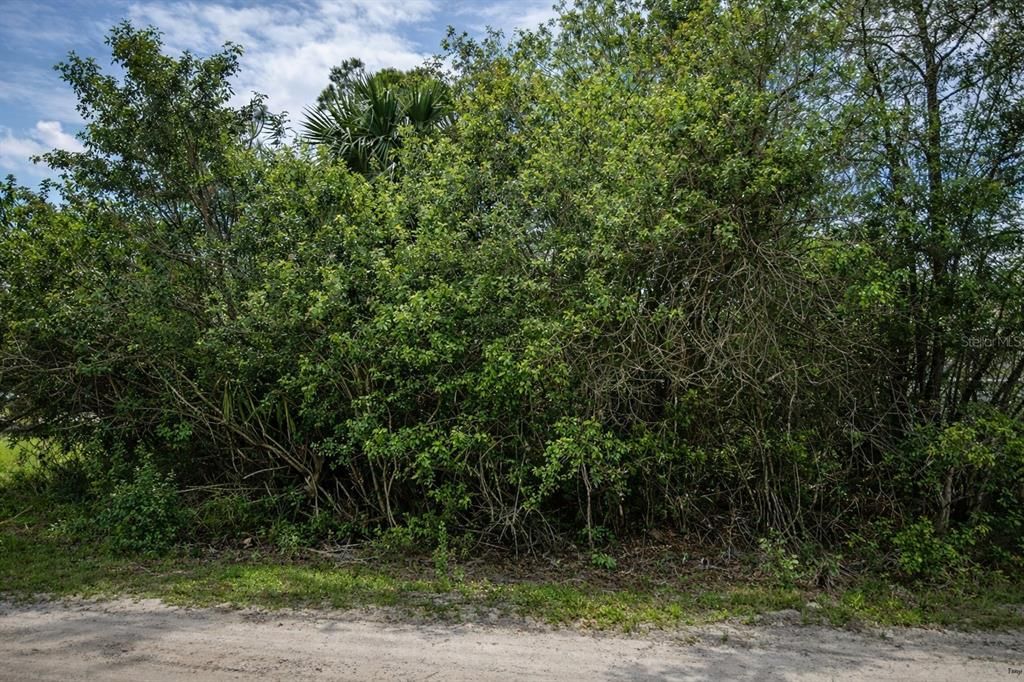 En Venta: $35,000 (0.23 acres)