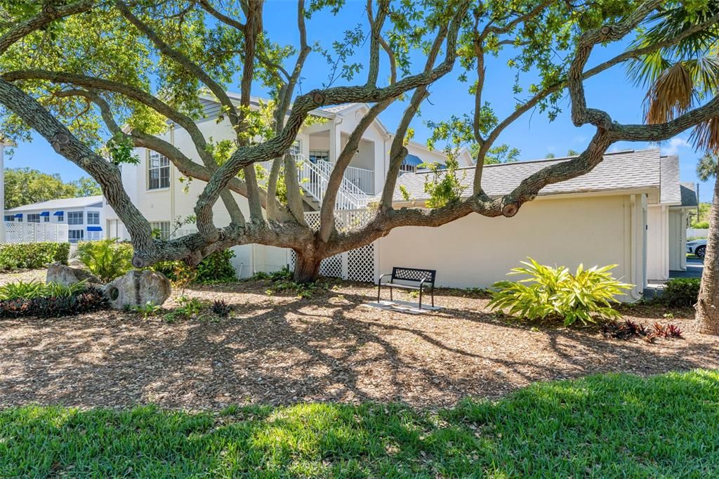 En Venta: $399,000 (3 camas, 2 baños, 1445 Pies cuadrados)