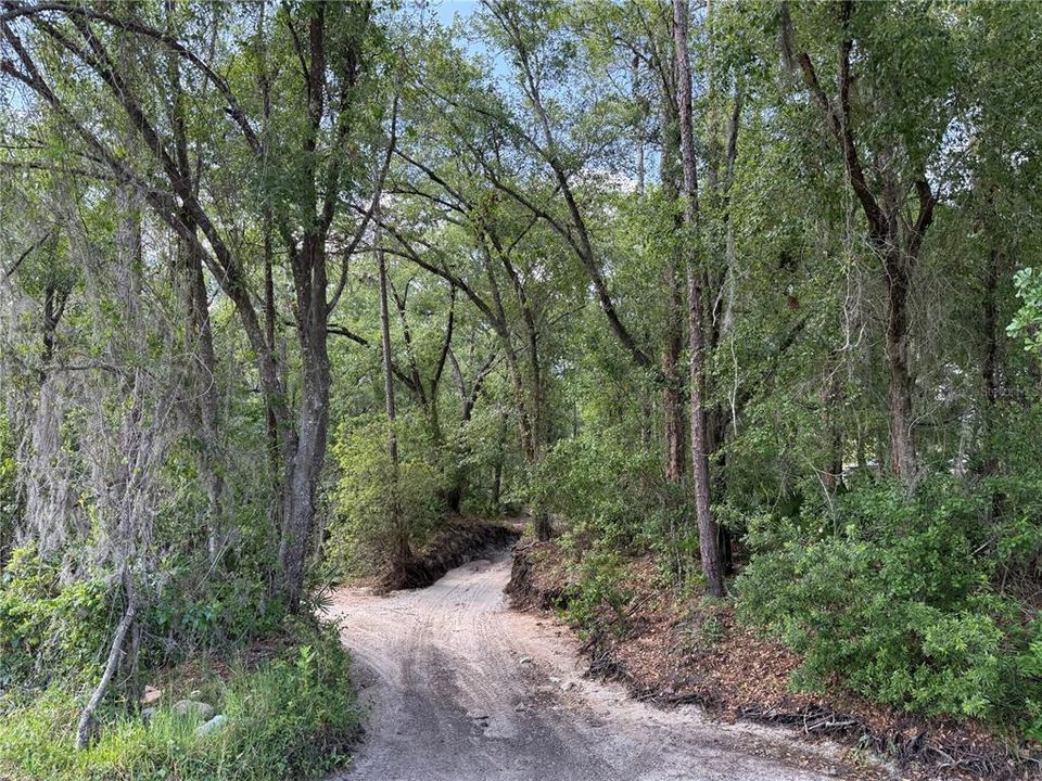 For Sale: $75,000 (1.34 acres)