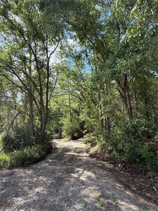For Sale: $75,000 (1.34 acres)